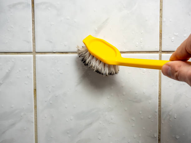 Best Mold Testing  in West Jefferson, NC