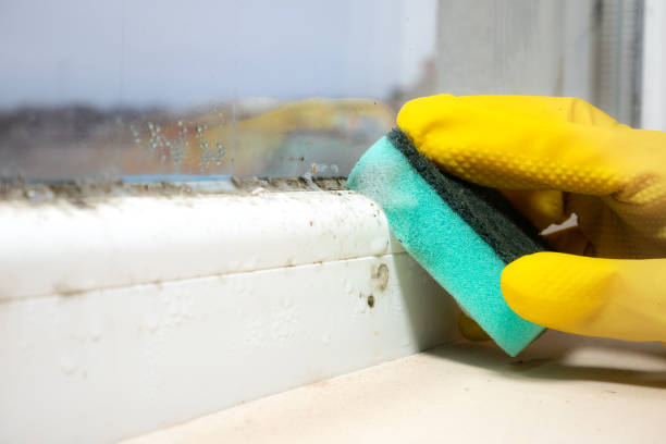 Crawl Space Mold Removal in West Jefferson, NC